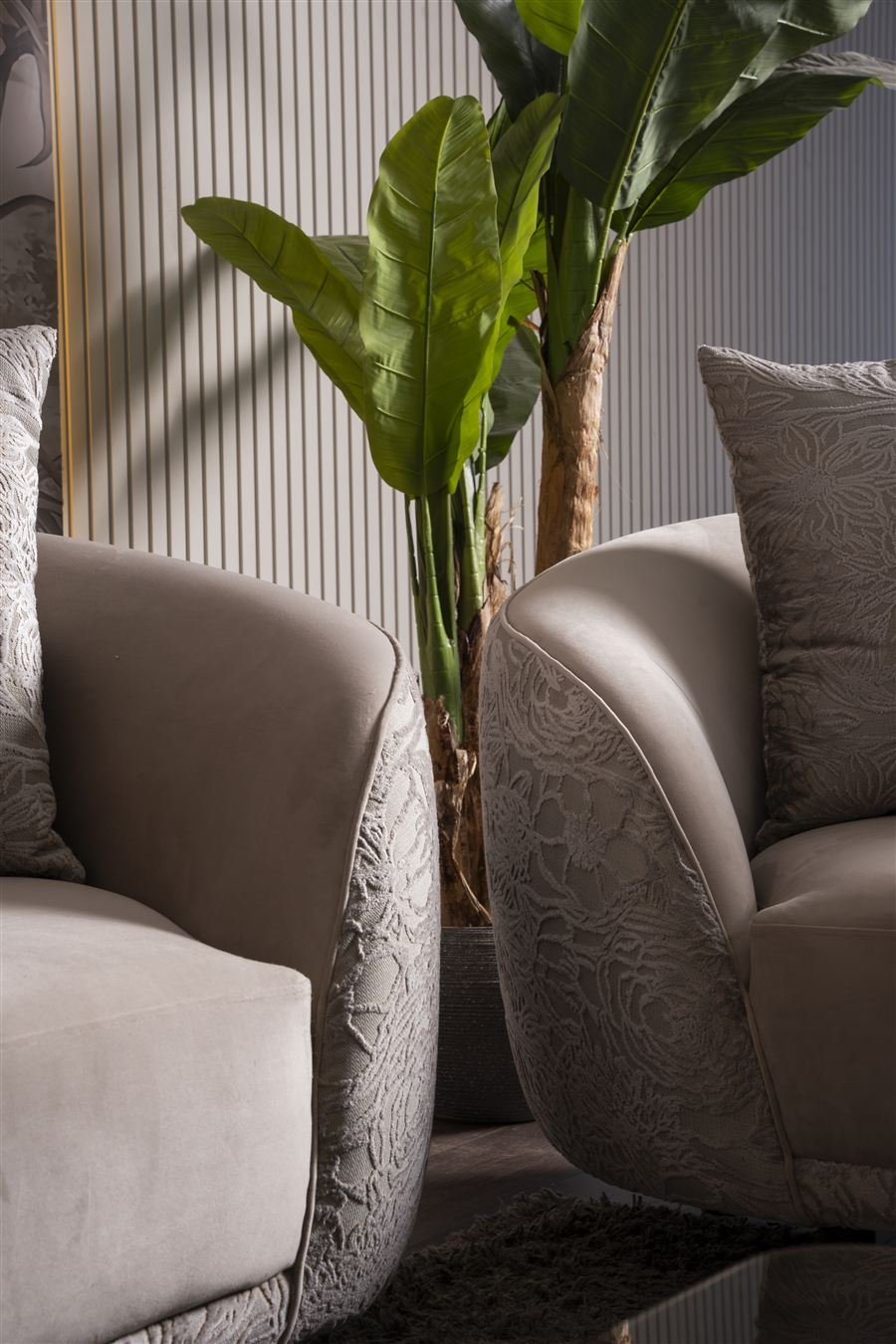 Divano — armchairs beside a plant in the showroom
